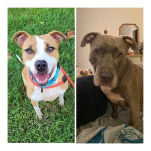 Fundraising Page: Melissa Massey